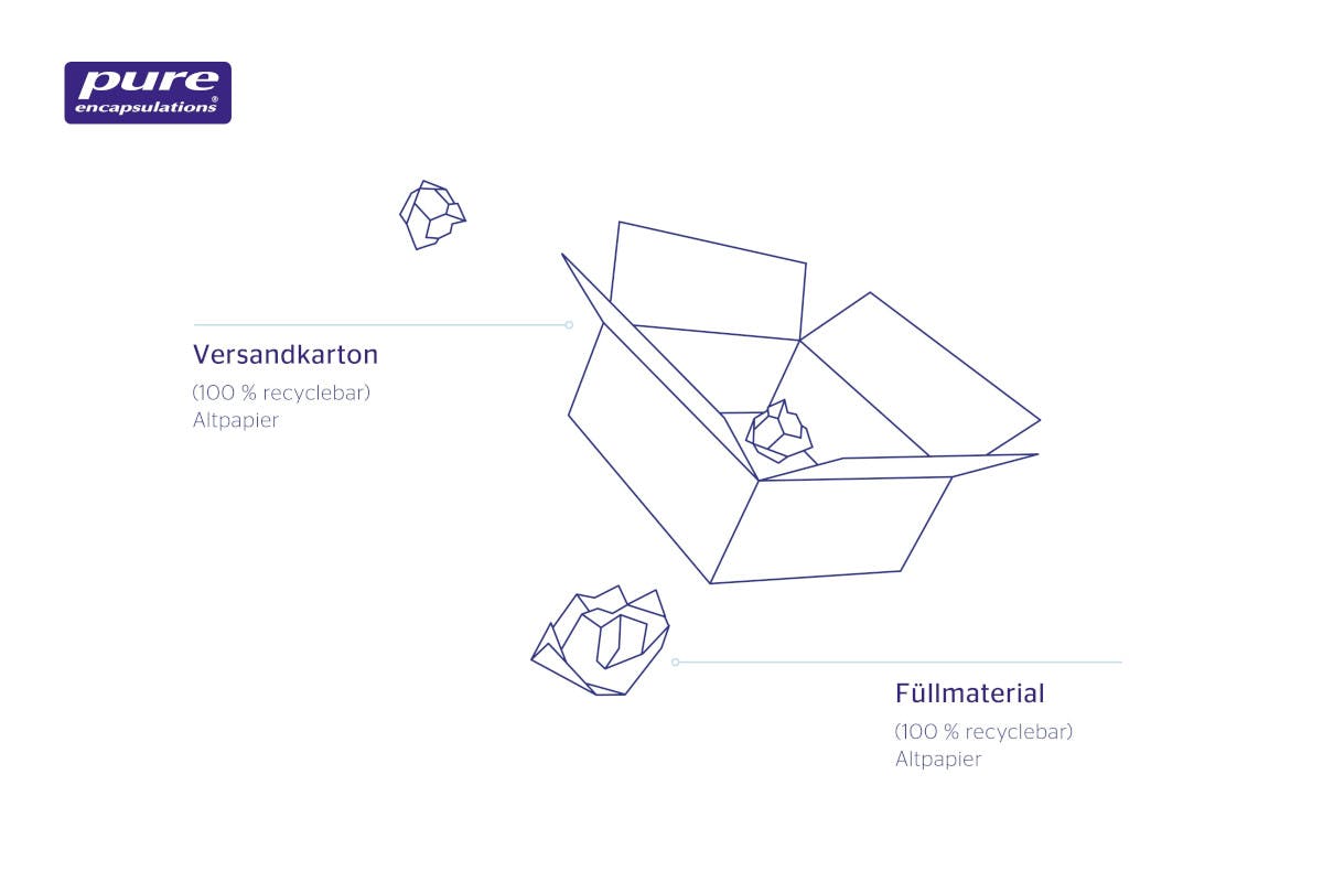 Grafik: Pure Versandkarton und Füllmaterial