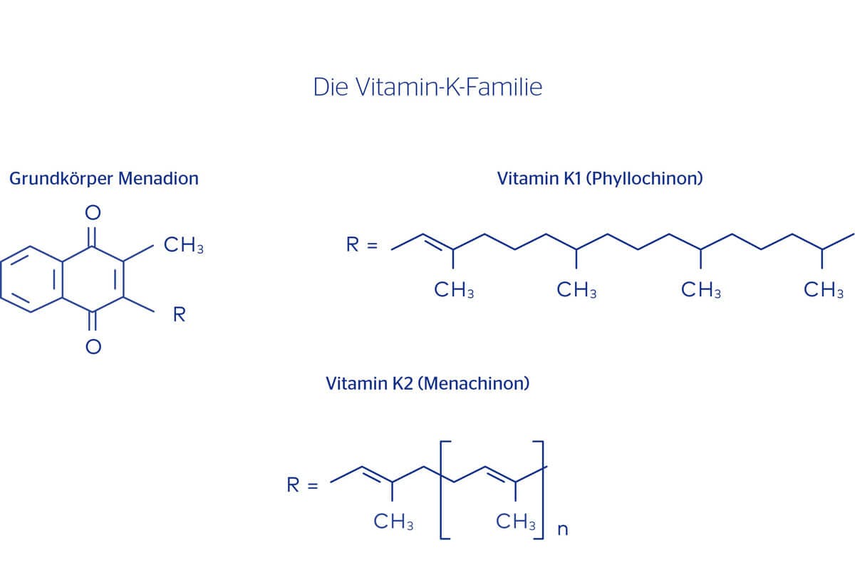 Die Vitamin-K-Familie