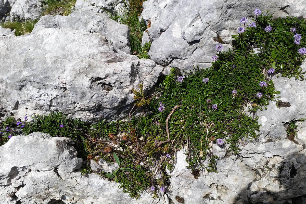 Wandertipp Hochstaufen