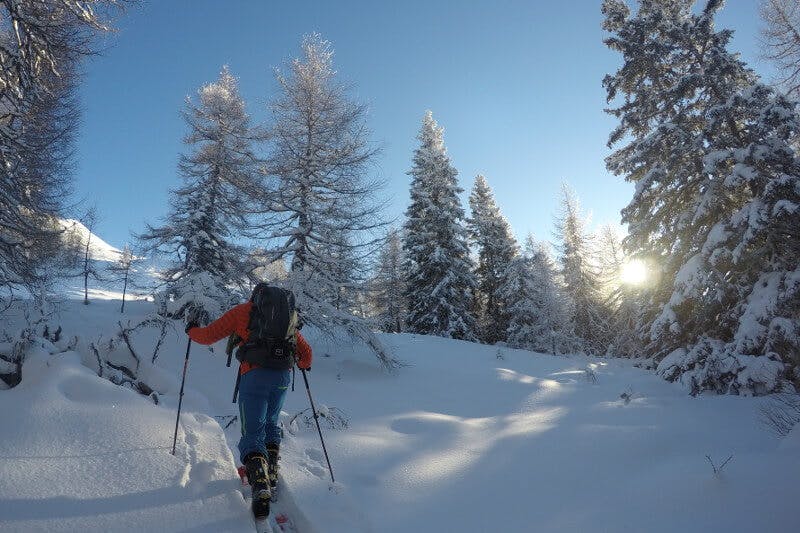 Skitour durch den Wald