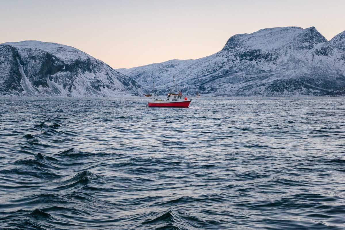boat_by-marcelo-quinan_eine-dosis-omega-3-fettsaeuren-gefaellig