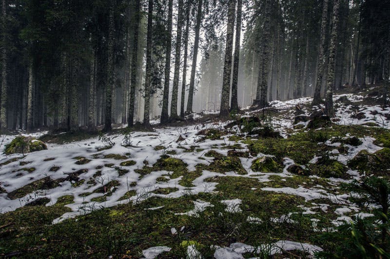 Im Winter ist unser Immunsystem besonders gefordert