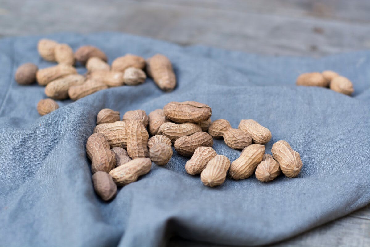 PMS (Prämenstruelles Syndrom), Magnesium, Ernährung, Nüsse, Mineralstoffe und Vitamine