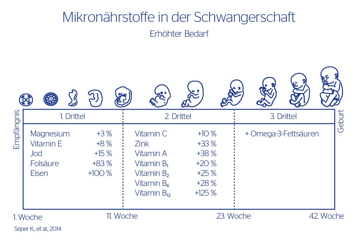 Mikronährstoffe in der Schwangerschaft