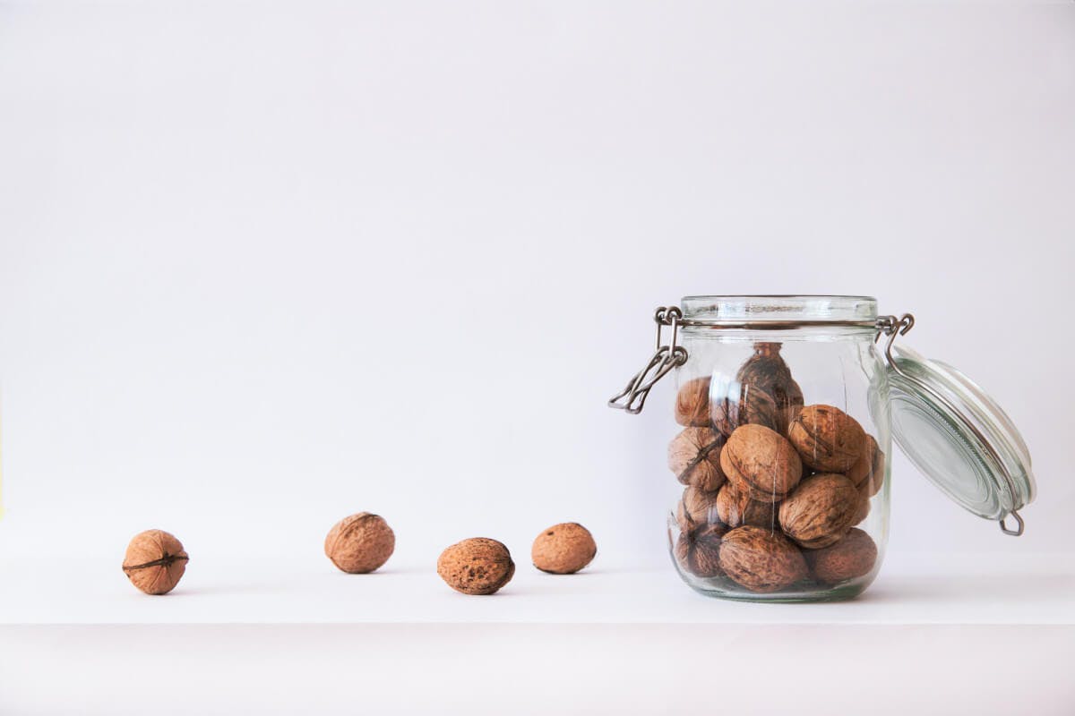 Konzentration und Gedächtnis stützen durch Mikronährstoffe wie B-Vitamine
