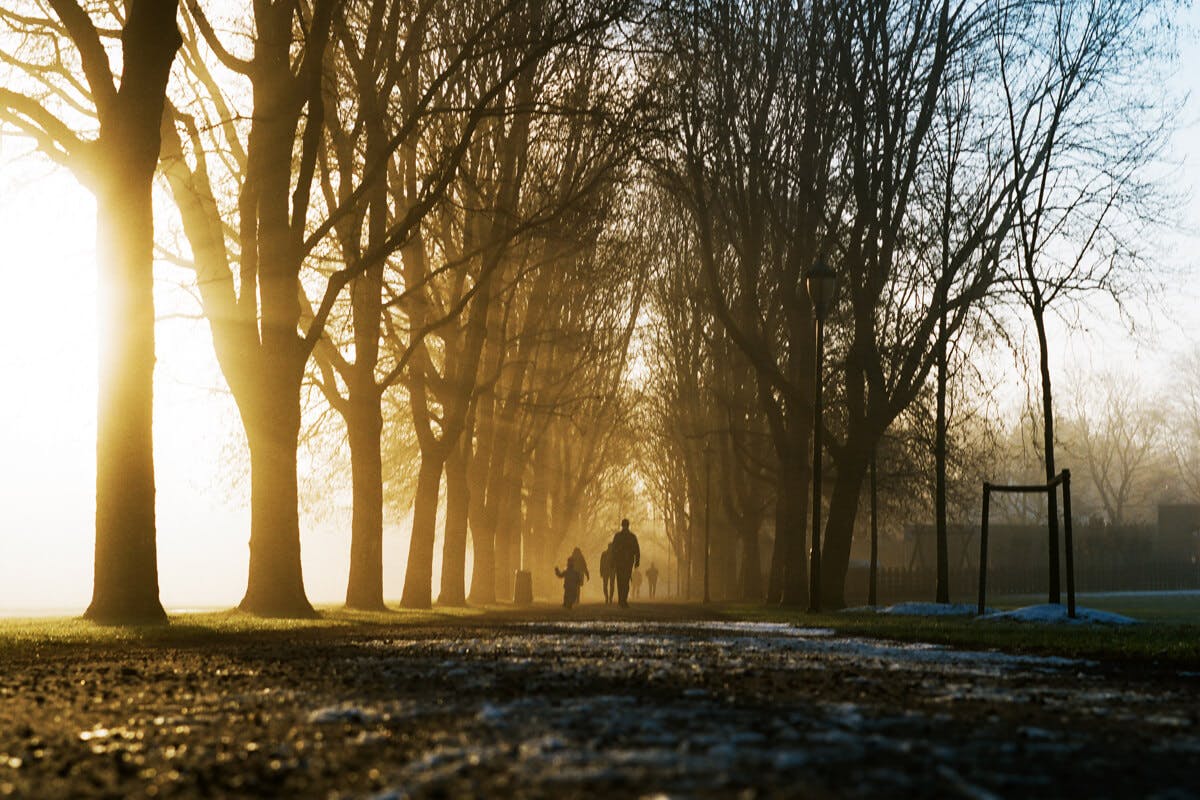 Die Wintersonne ist für die Vitamin D Bildung nicht optimal