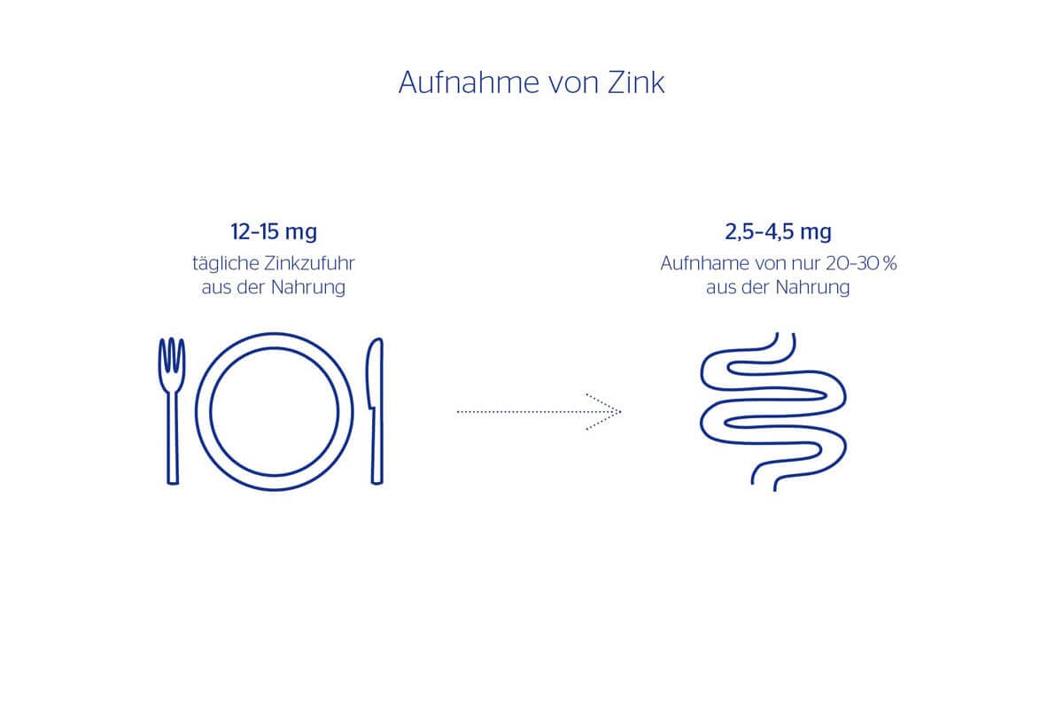 Steckbrief Zink