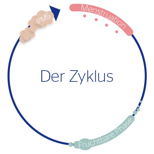 PMS (Prämenstruelles Syndrom), der Zyklus der Frau (Menstruation, fruchtbare Phase, PMS)