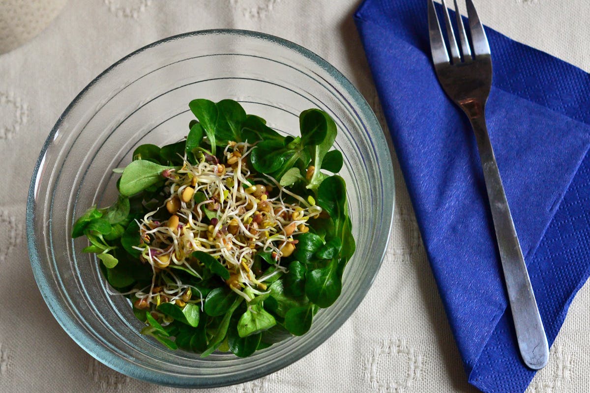 Sprossen über einem frischen Salat