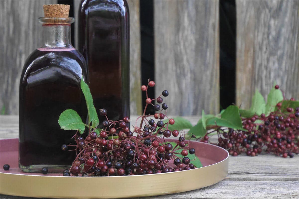 Holundersaft selbst gemacht - Rezept - Schnell und einfach