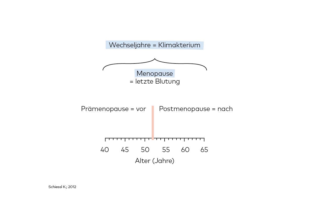 Wechseljahre vs Menopause