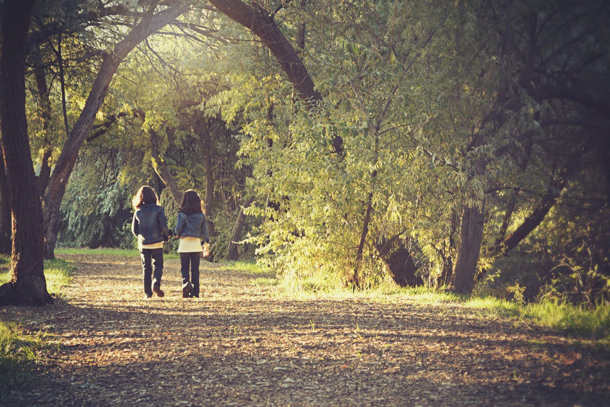 Vitamine spielen in der Ernährung der Kinder eine wichtige Rolle