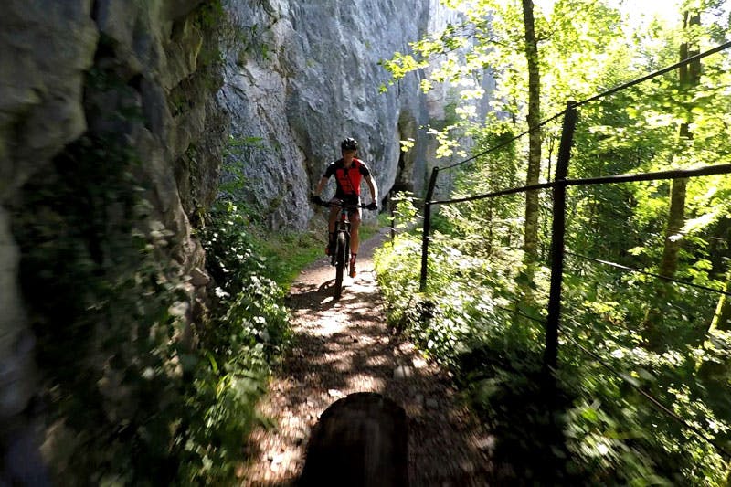 Mit dem Mountainbike über Stock und Stein