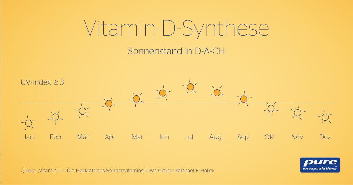 Die Vitamin-D-Synthese erklärt