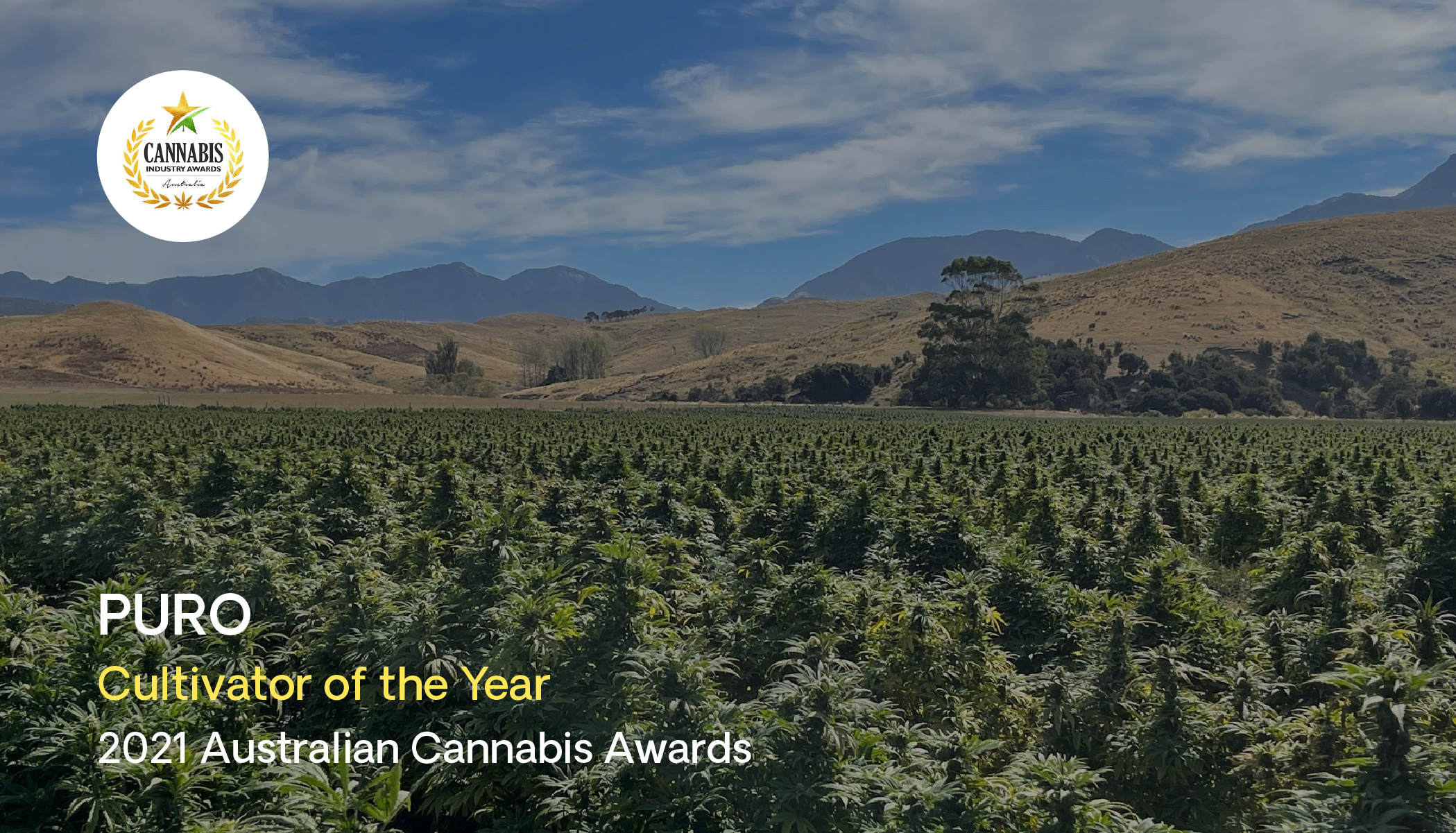 Puro wins Cultivator of the Year Award