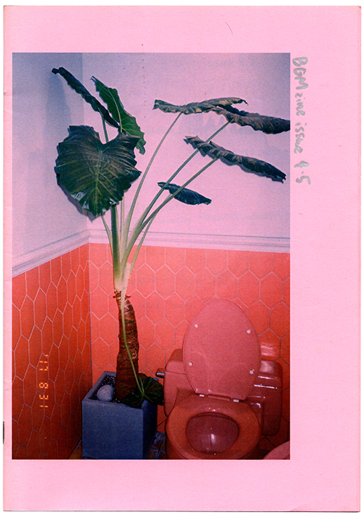 BGM Zine Issue 4.5