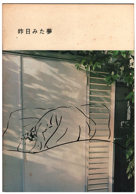 昨日みた夢