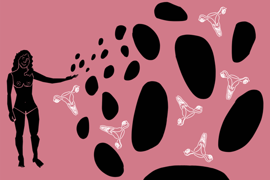 https://images.prismic.io/pussypedia/bdba20ba0f7ad737d4f47d2ba2109086a847caf6_0010_illo_eggdonation_c_half_width_landscape.png?auto=compress,format
