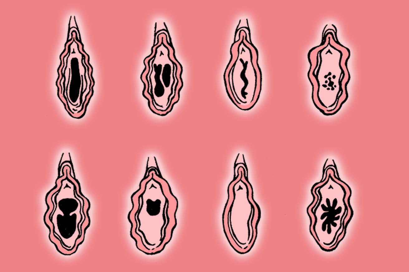 The Vaginal Corona (the Hymen & Virginity Myths)