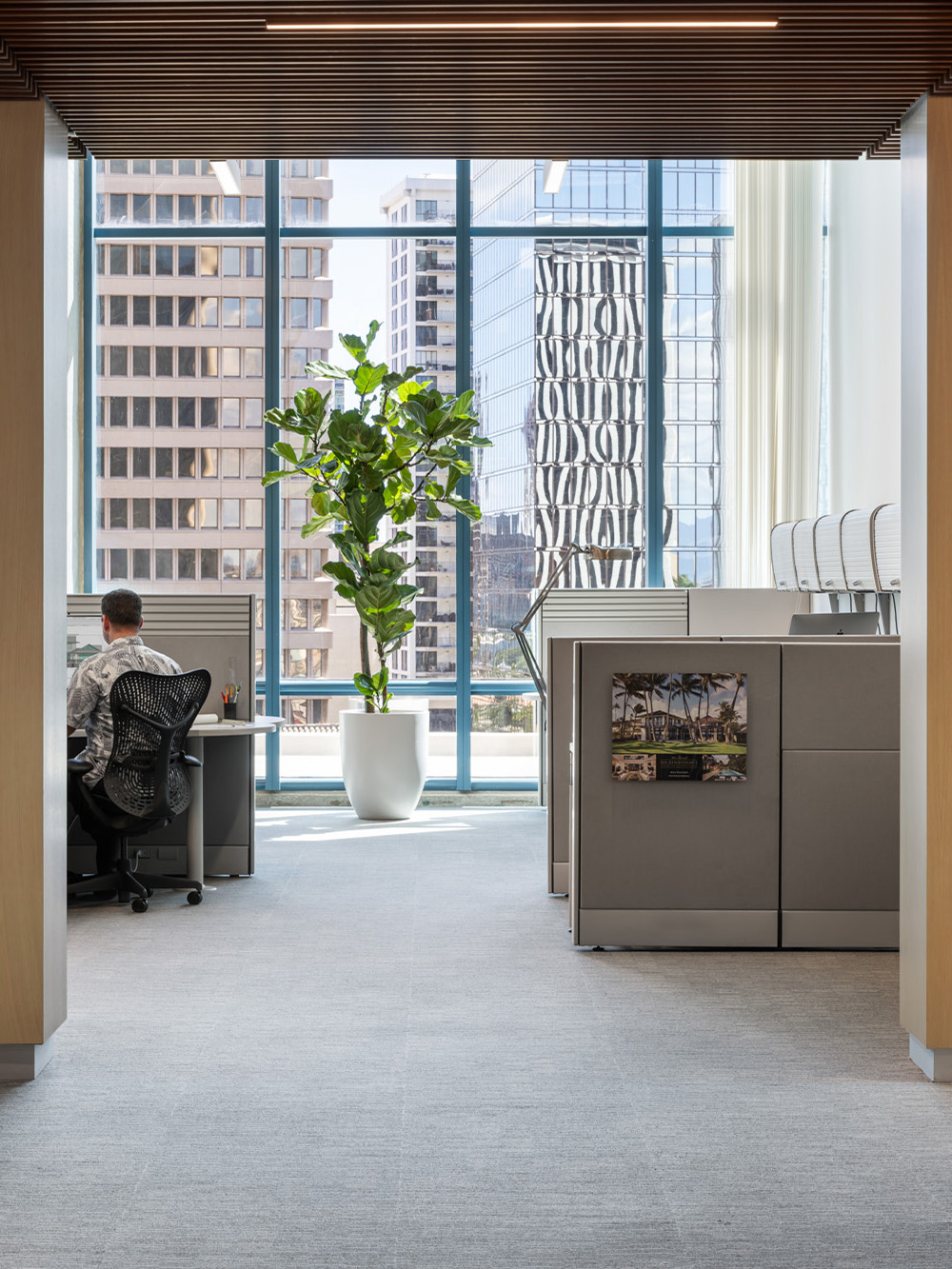 View into the office