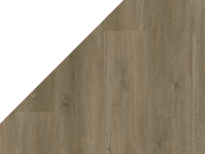 Gelasta Authentic 4803