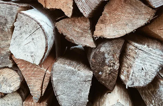 Fall Events • 2016