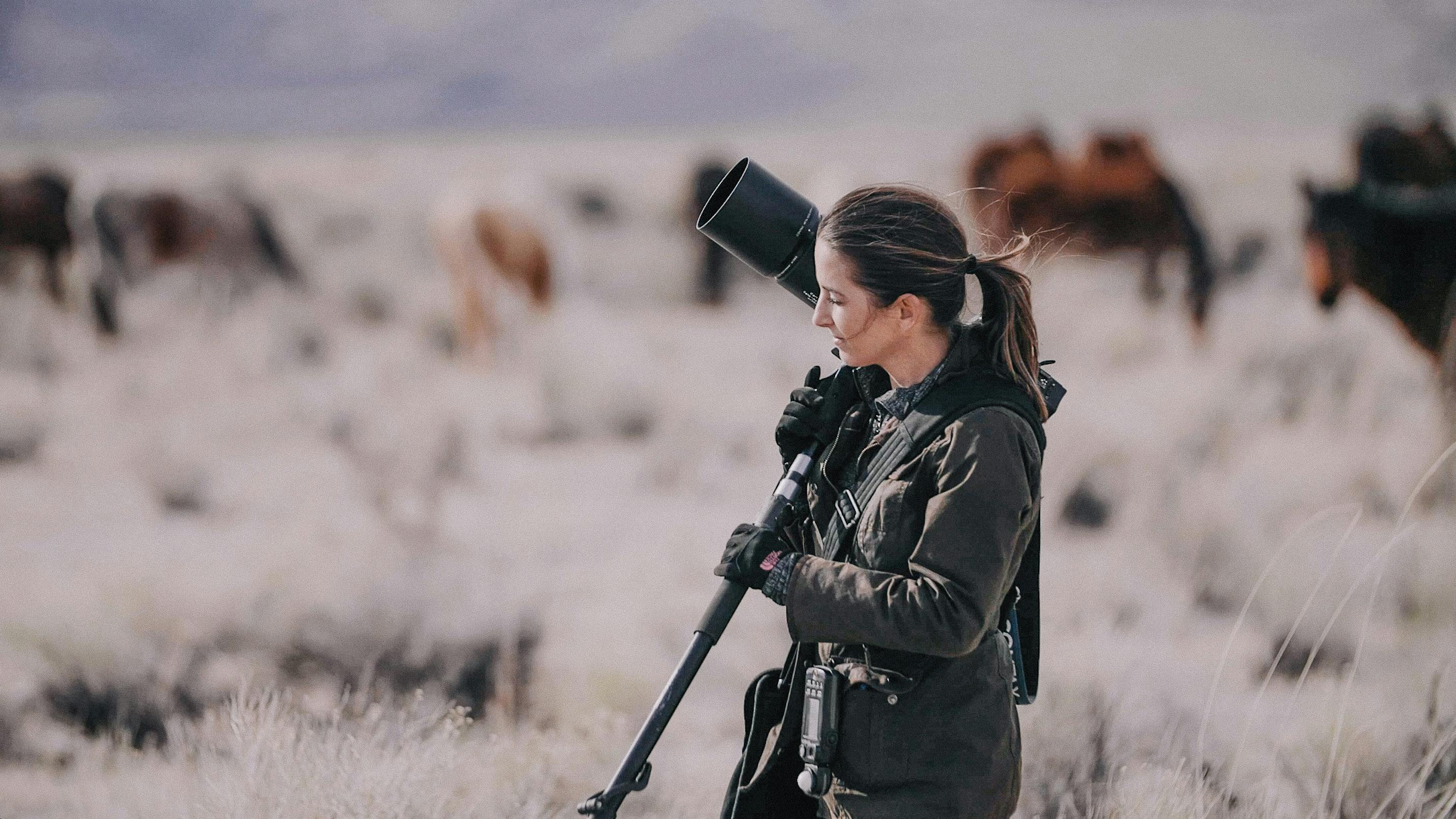 Professional wedding photographer KT Merry photographing her latest passion project; wild mustangs in Northern Nevada