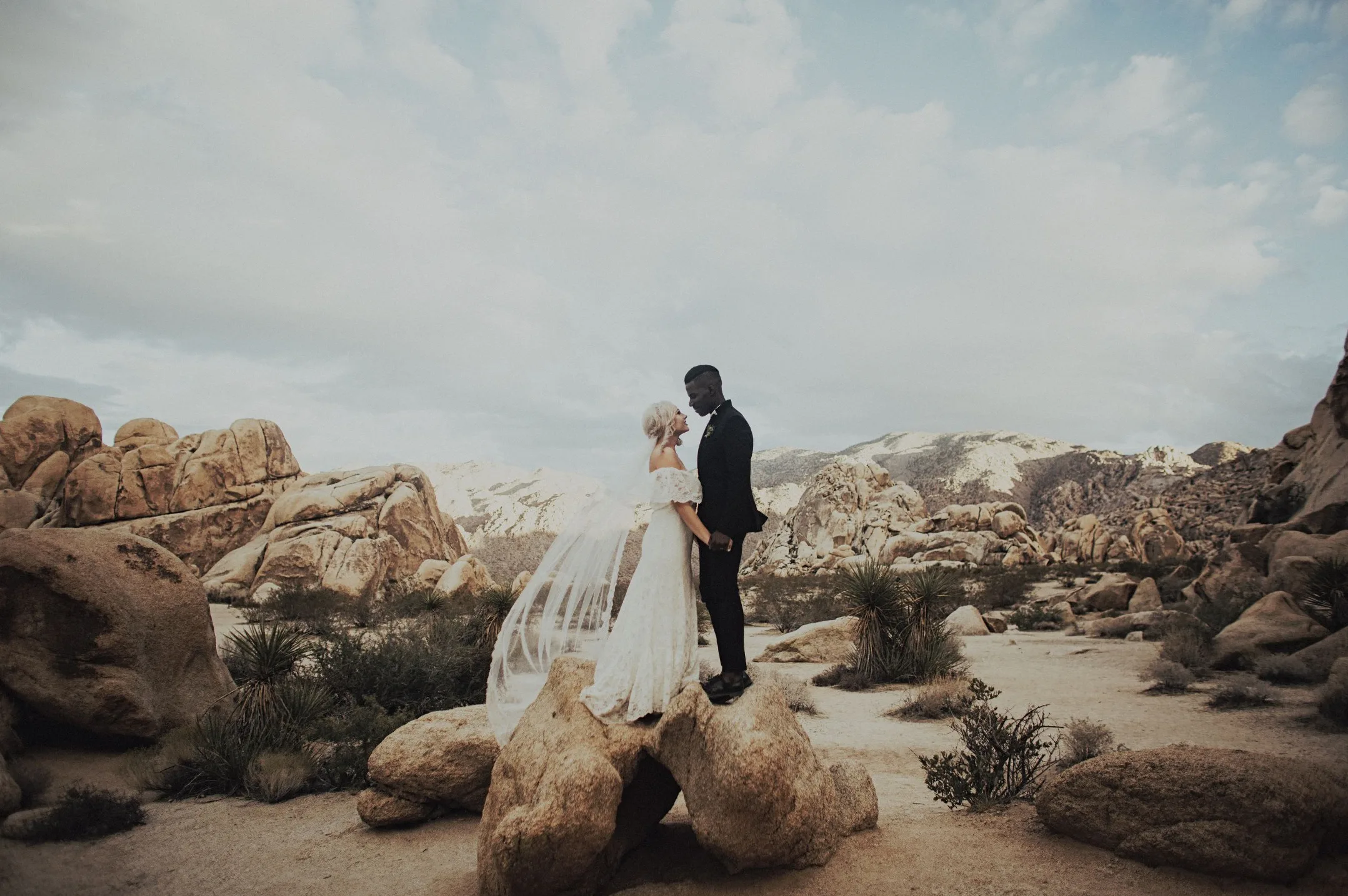 Tyler Branch Interview | Make Beautiful Slideshows