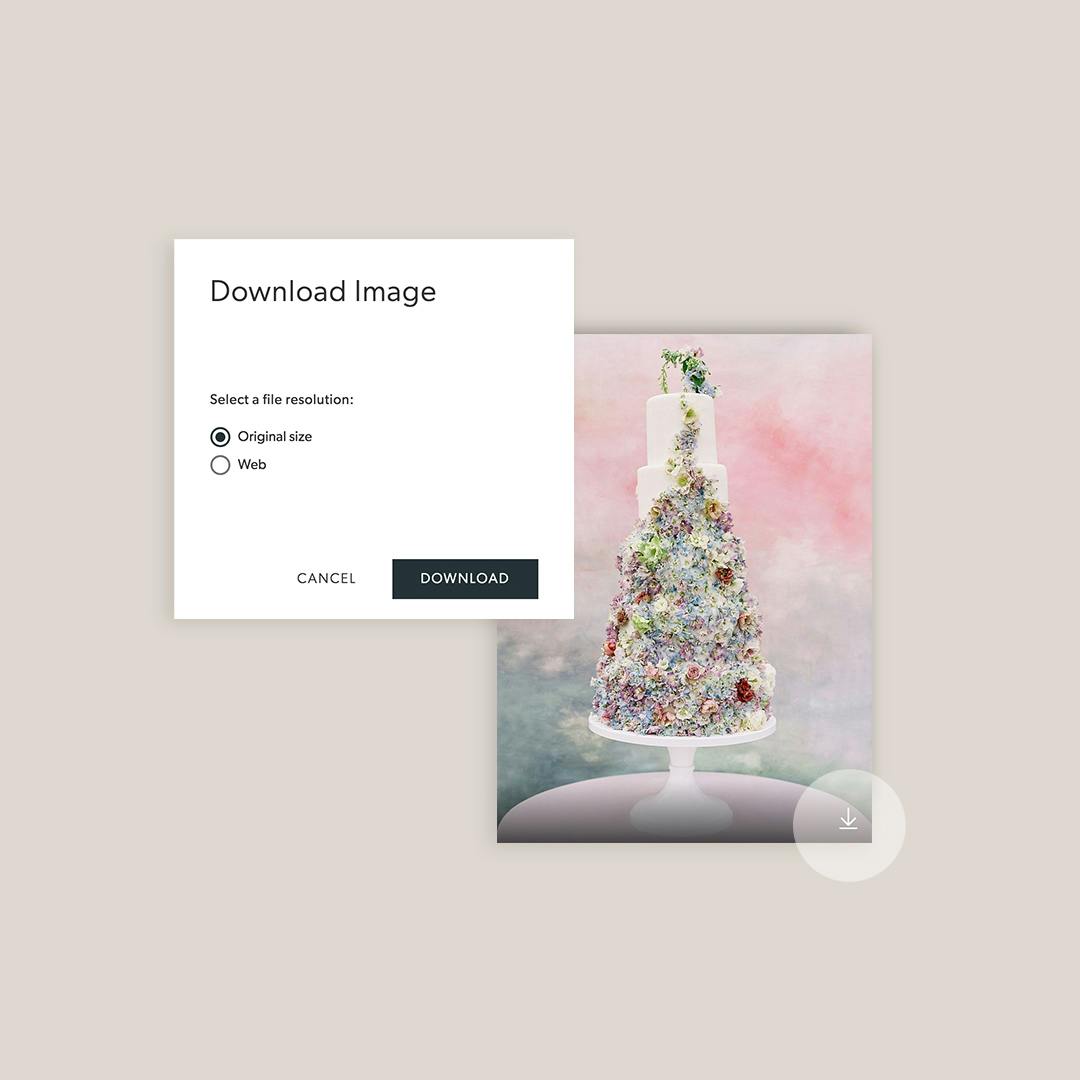 Pixellu Galleries allows clients to download images on hover