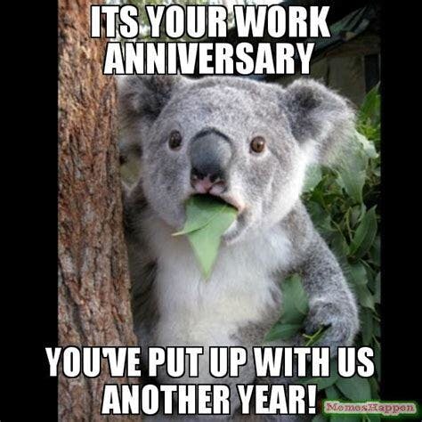 Koala work anniversary meme