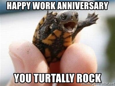 Punny turtle meme