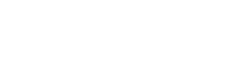 Connecticut logo