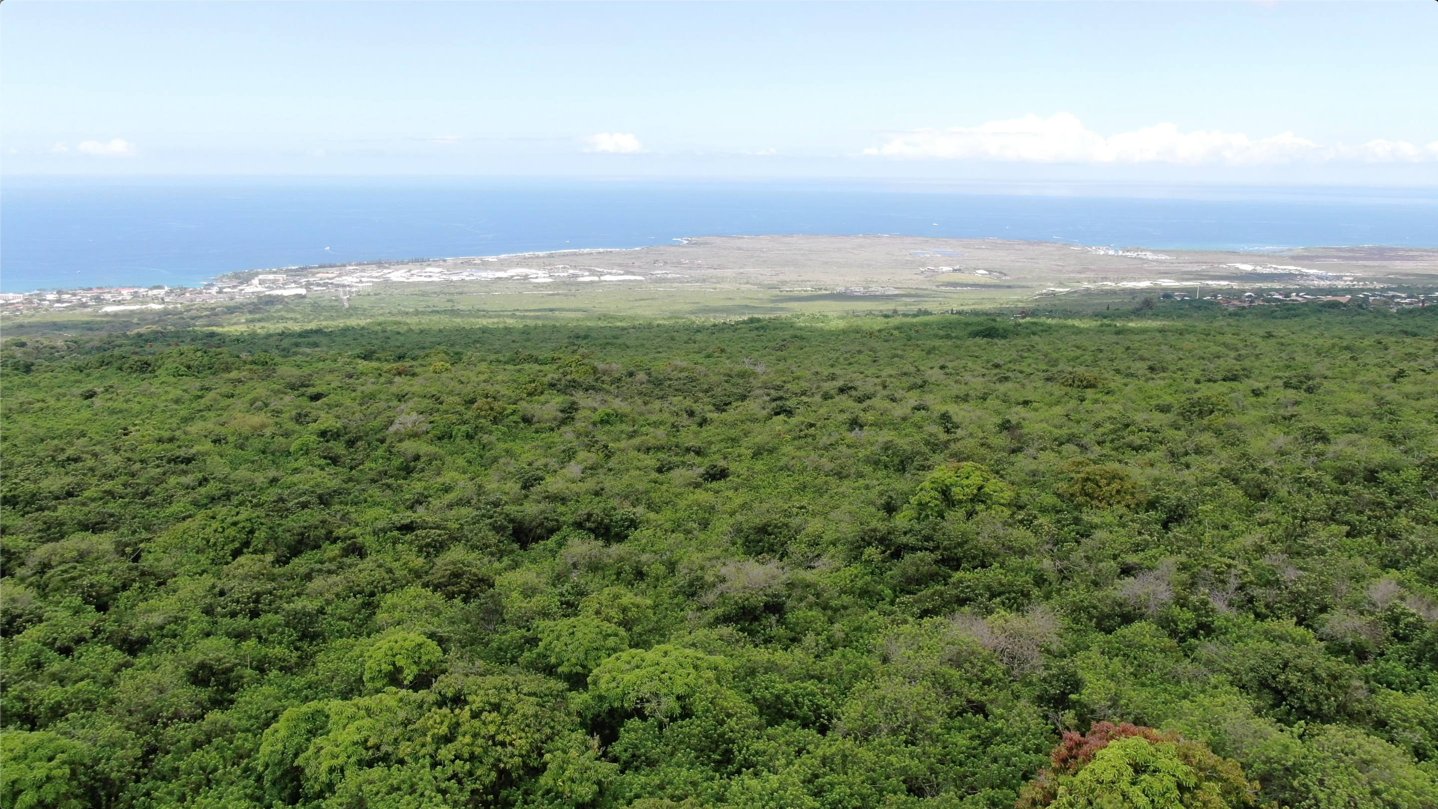Green landscape and blue ocean