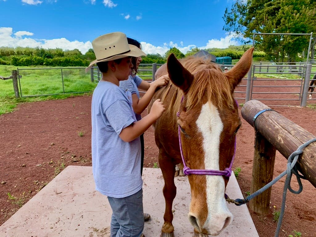 LT beneficiary Kū Moku S. takes care of his favorite horse, Teddy, at LT Ranch. PHOTO: JILL BEATTY 