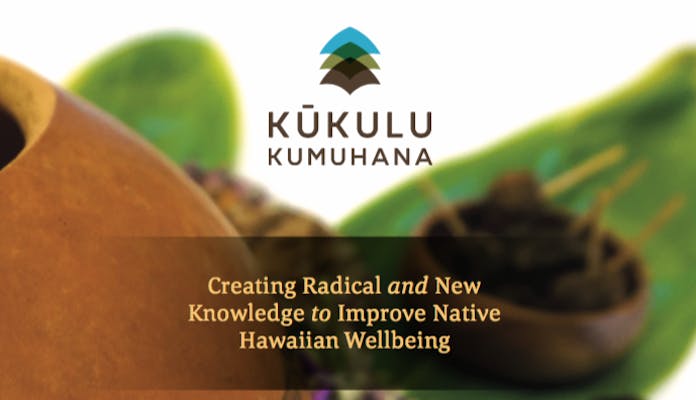Kukulu kumuhana report cover