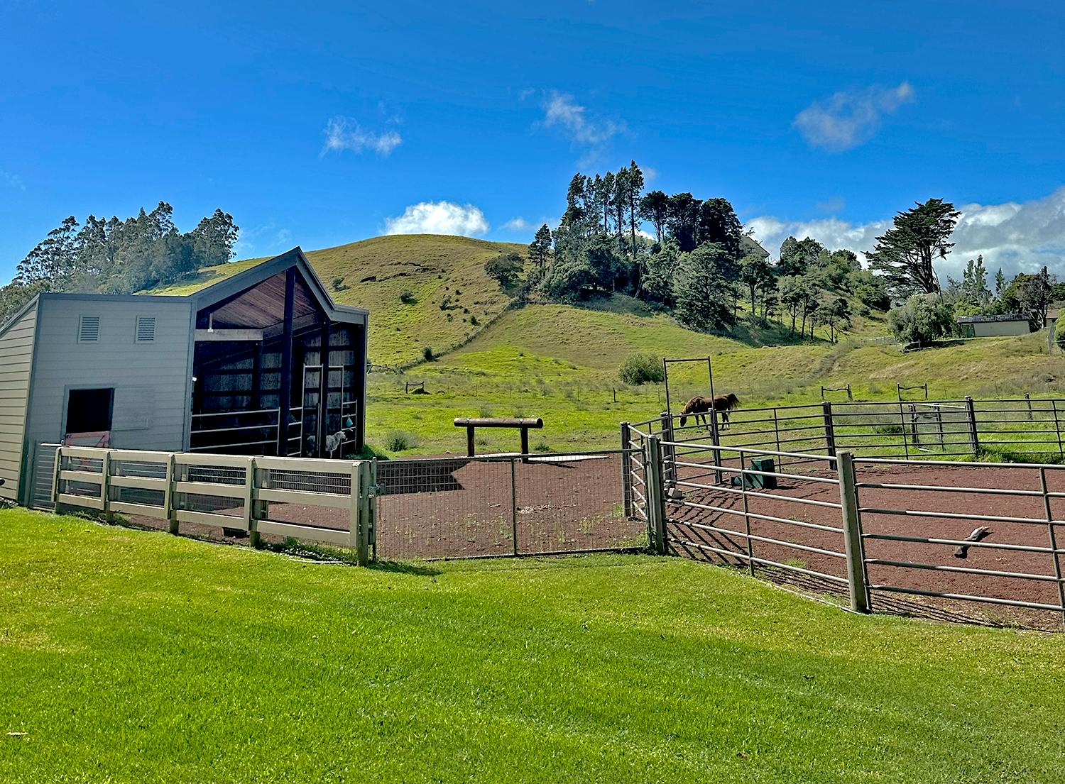 Stables at LT Ranch