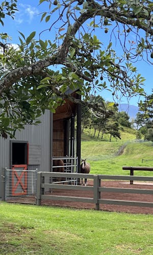 LT Ranch is a place of healing where ʻōpio can connect with animals, arts and ʻāina at a beautiful country ranch in Waimea on Hawaiʻi Island