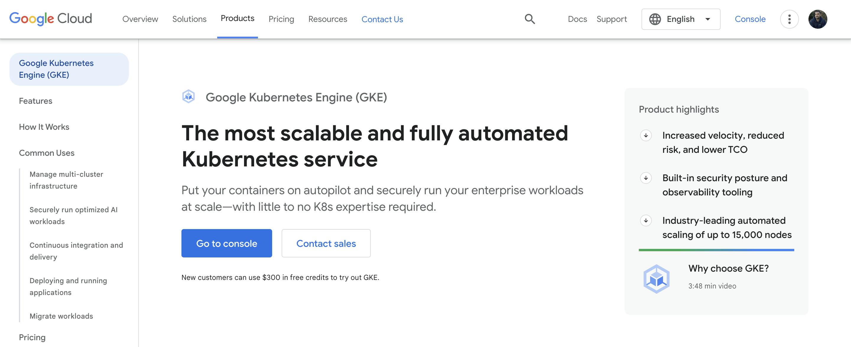 Google Kubernetes Engine (GKE)