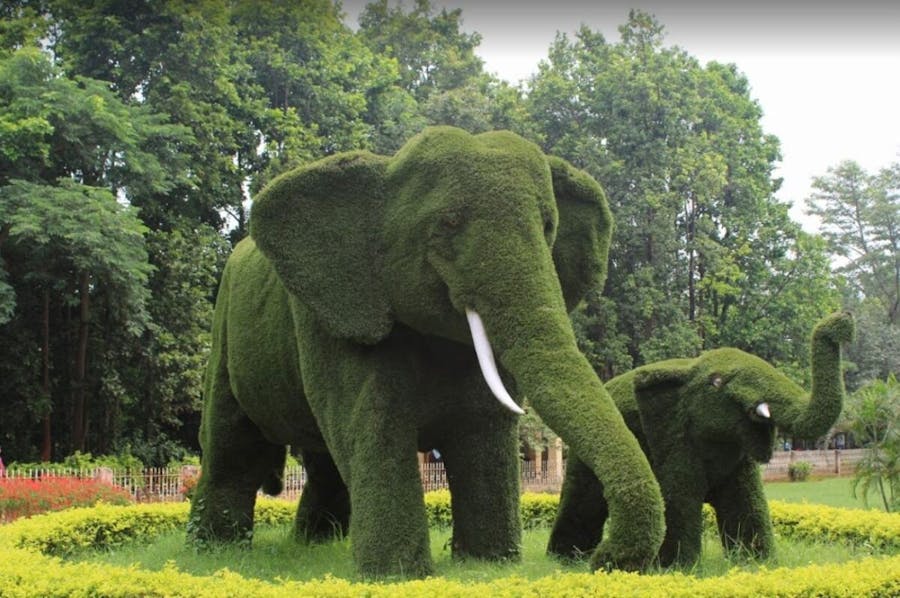 Birsa Zoological Park
