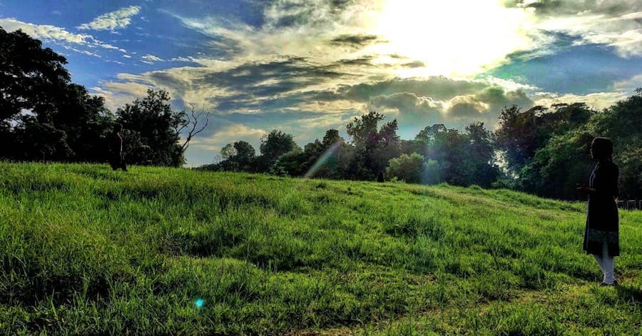 Botanical garden for pre wedding location