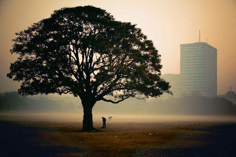 foggy winter morning at Maidan