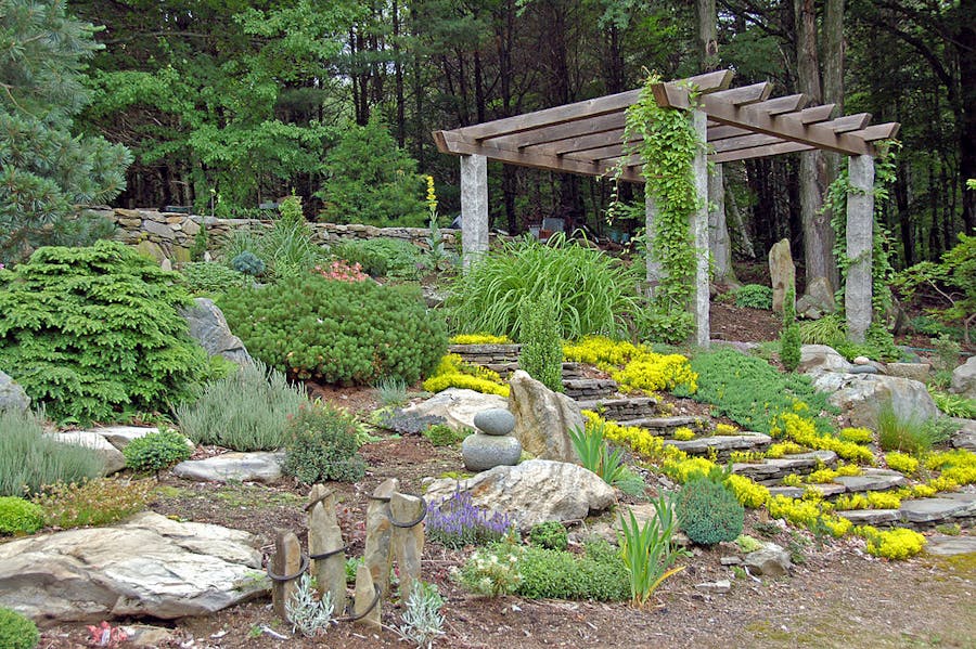 Rock Garden