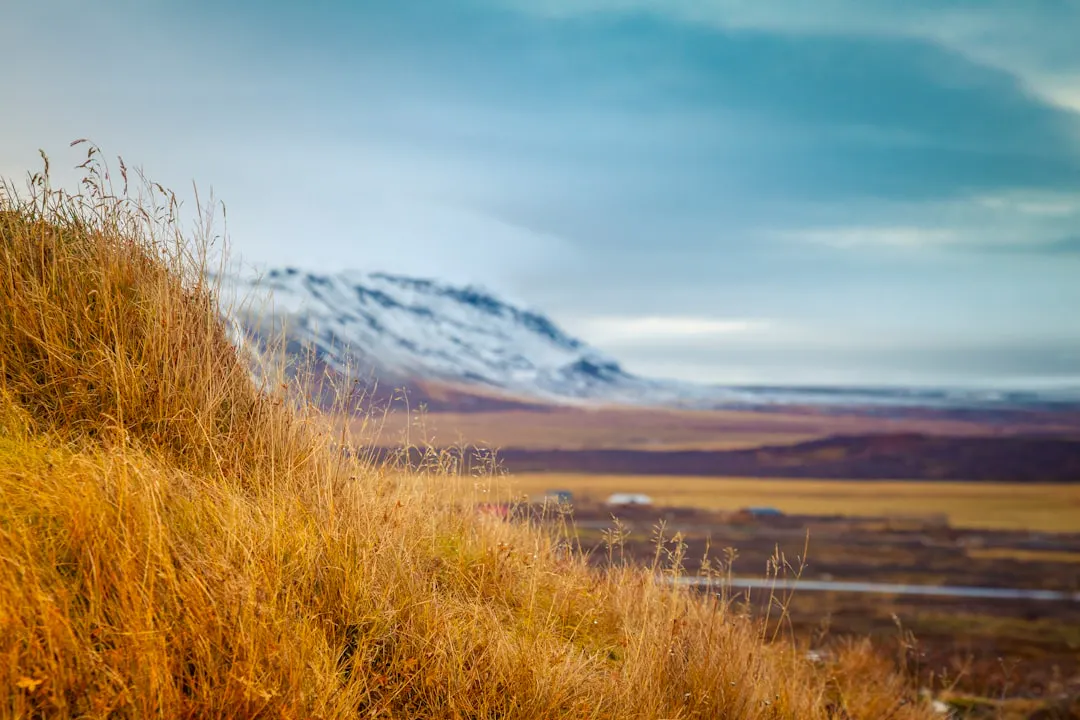 a grassy hill with a mountain in the background