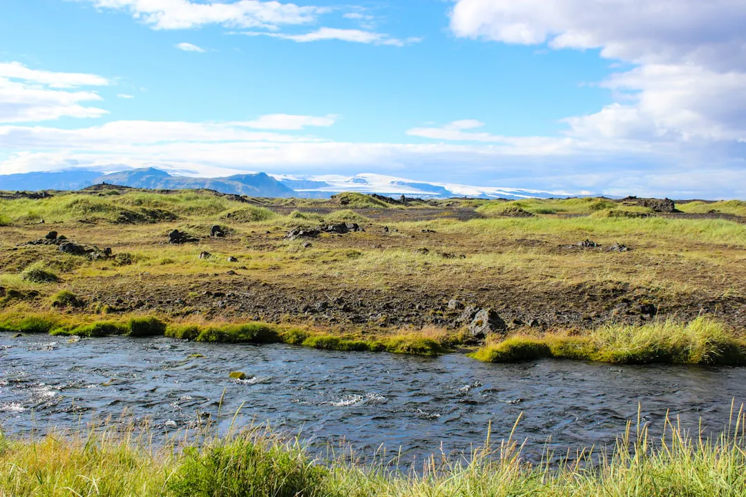 green grass field near body of water during daytime