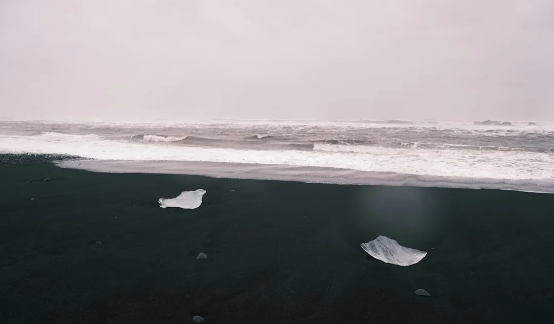 Small ice chunks float in dark water