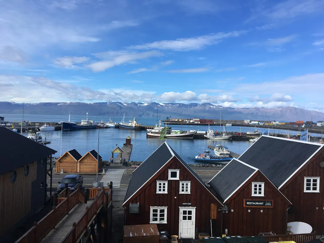 a group of houses sitting next to a body of water