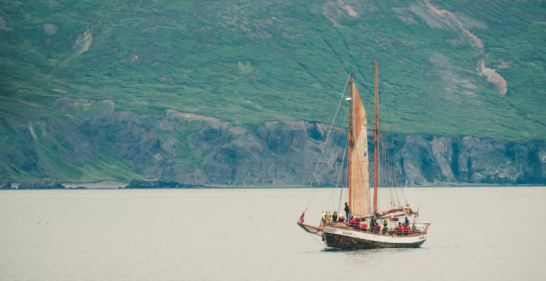 a boat with people on it in the water