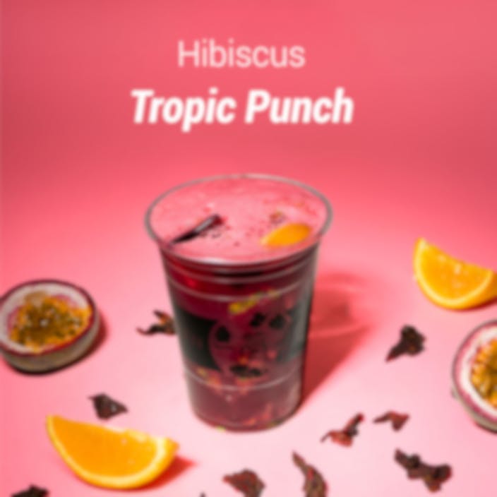Hibiscus Tropic Punch