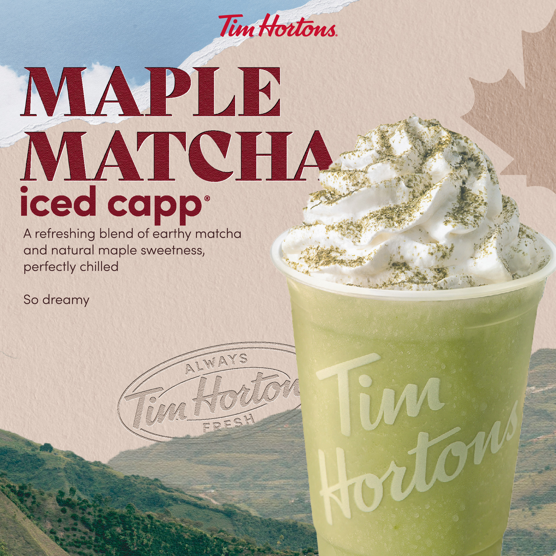 Maple Matcha Iced Capp  