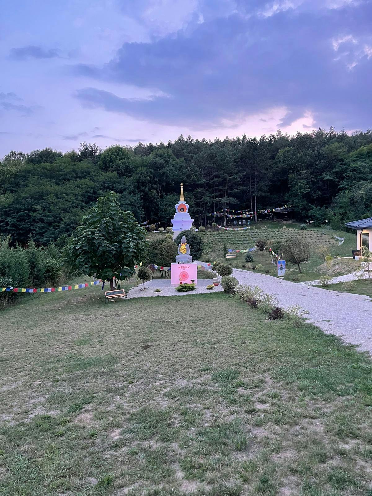 Atemi Budo Academy Dojo épület kivitelezése